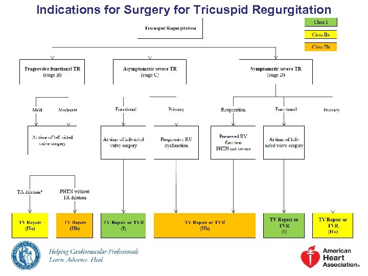 Indications for Surgery for Tricuspid Regurgitation 