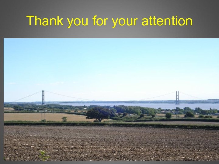 Thank you for your attention 