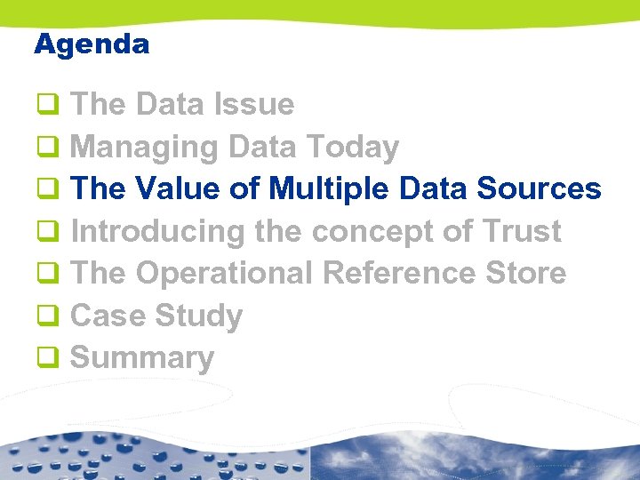 Agenda q q q q The Data Issue Managing Data Today The Value of