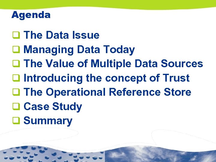 Agenda q q q q The Data Issue Managing Data Today The Value of