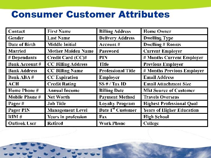 Consumer Customer Attributes 