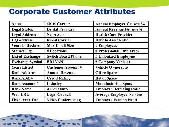 Corporate Customer Attributes 