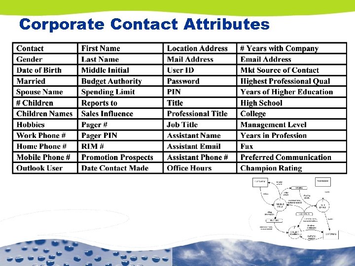 Corporate Contact Attributes 