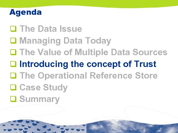 Agenda q q q q The Data Issue Managing Data Today The Value of