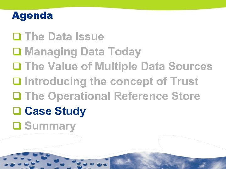 Agenda q q q q The Data Issue Managing Data Today The Value of