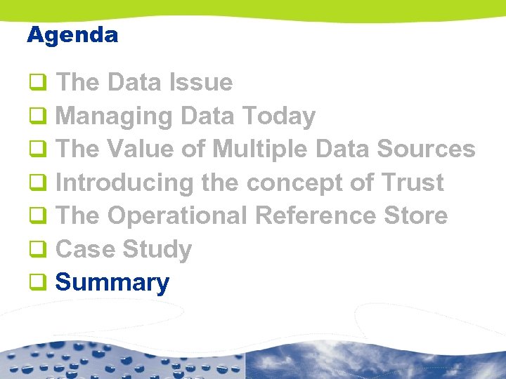 Agenda q q q q The Data Issue Managing Data Today The Value of