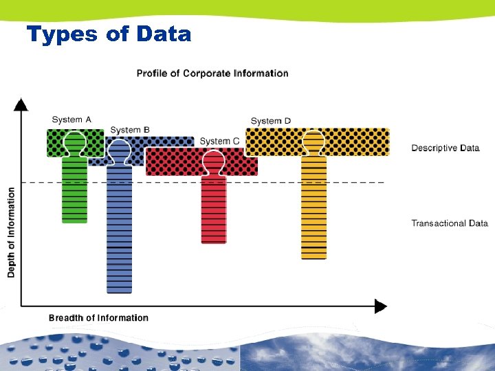Types of Data 