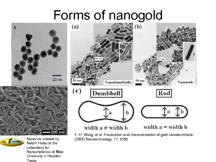 Forms of nanogold Nanorice created by Naomi Halas at the Laboratory for Nanophotonics at