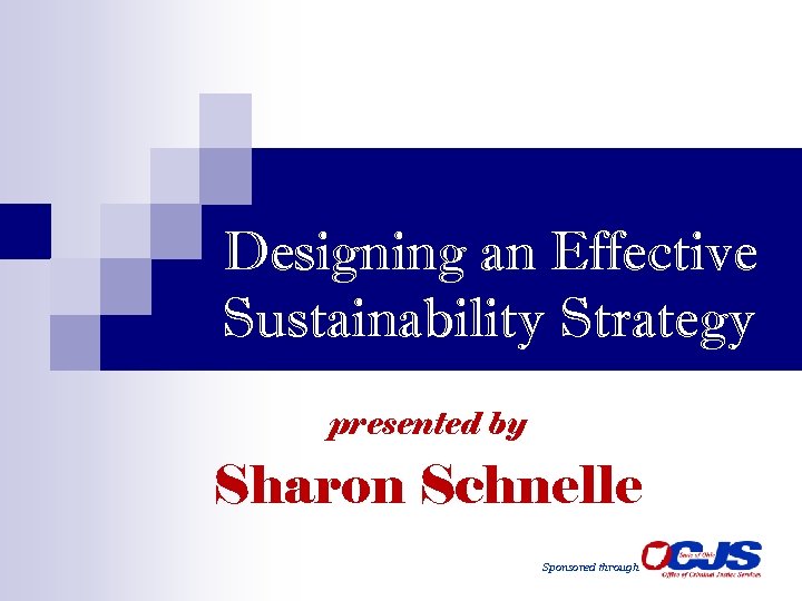 Designing an Effective Sustainability Strategy presented by Sharon Schnelle Sponsored through 