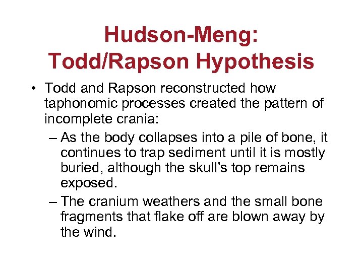 Hudson-Meng: Todd/Rapson Hypothesis • Todd and Rapson reconstructed how taphonomic processes created the pattern