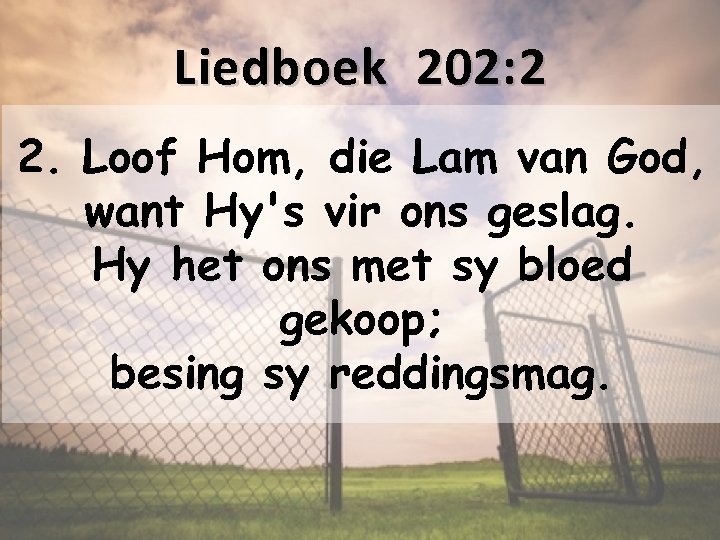 Liedboek 202: 2 2. Loof Hom, die Lam van God, want Hy's vir ons