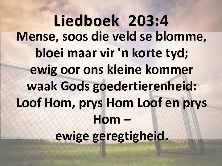 Liedboek 203: 4 Mense, soos die veld se blomme, bloei maar vir 'n korte
