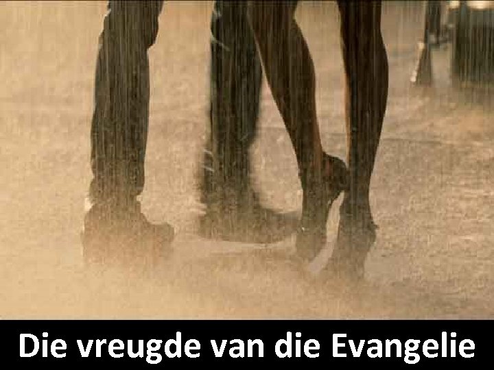 Die vreugde van die Evangelie 