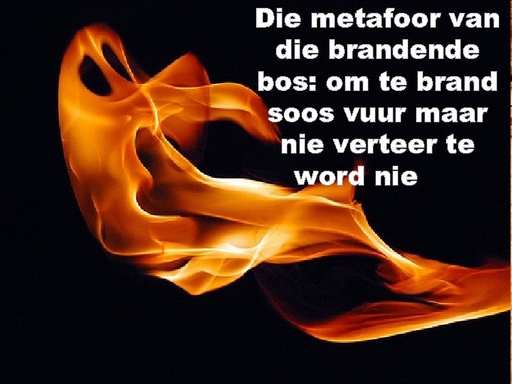 Die metafoor van die brandende bos: om te brand soos vuur maar nie verteer