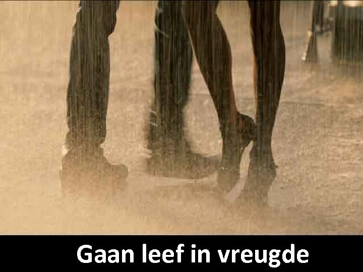 Gaan leef in vreugde 