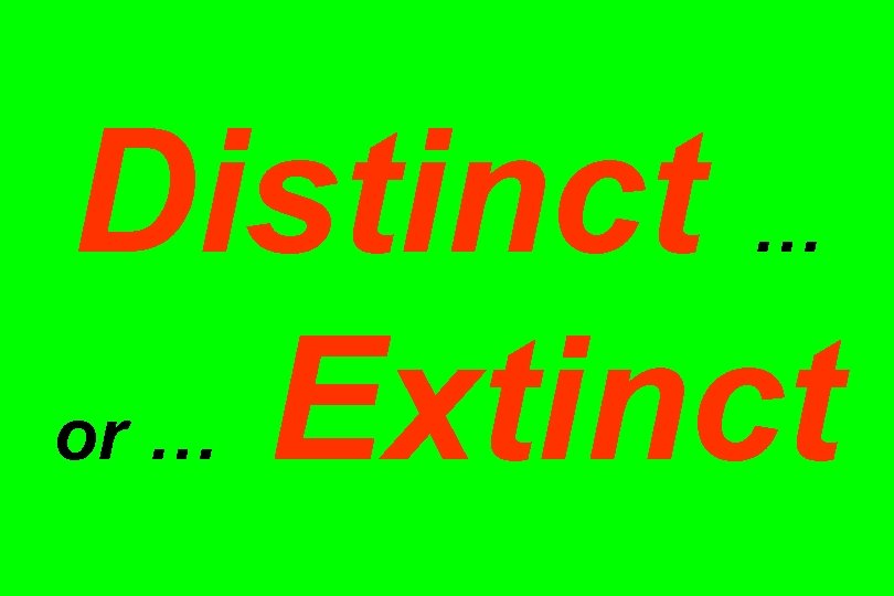 Distinct … or … Extinct 