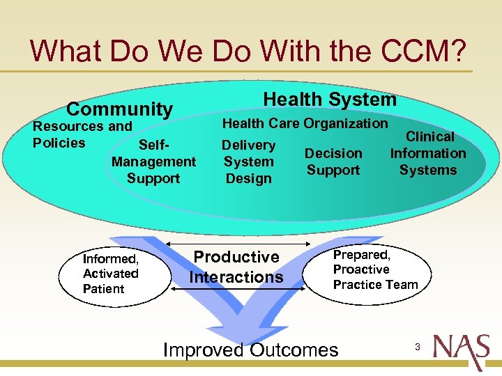 What Do We Do With the CCM? Community Health System Resources and Policies Self.