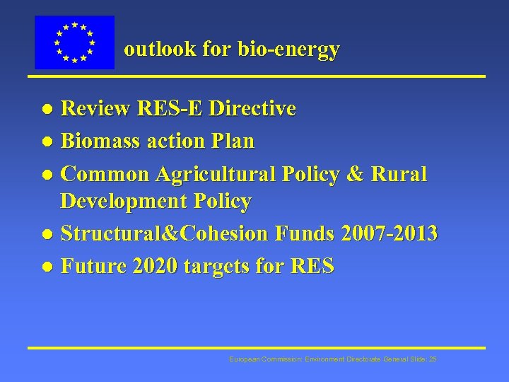 outlook for bio-energy Review RES-E Directive l Biomass action Plan l Common Agricultural Policy