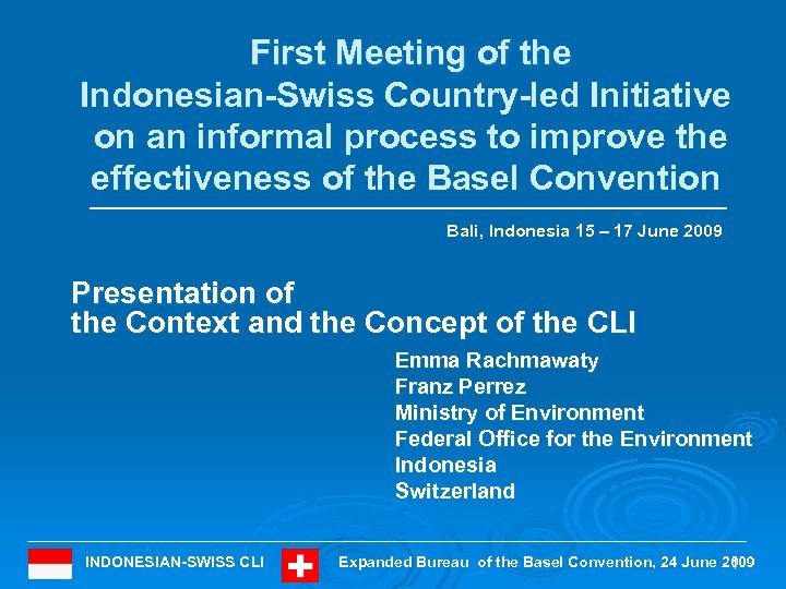 First Meeting of the Indonesian-Swiss Country-led Initiative on an informal process to improve the