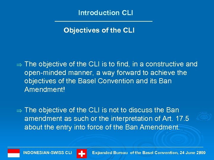 Introduction CLI Objectives of the CLI Þ The objective of the CLI is to