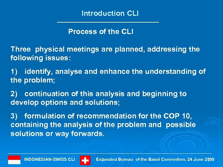 Introduction CLI Process of the CLI Three physical meetings are planned, addressing the following