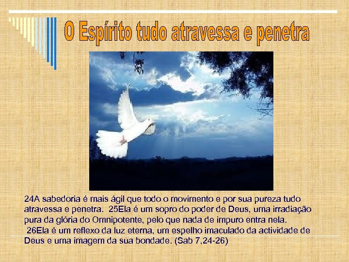 24 A sabedoria é mais ágil que todo o movimento e por sua pureza