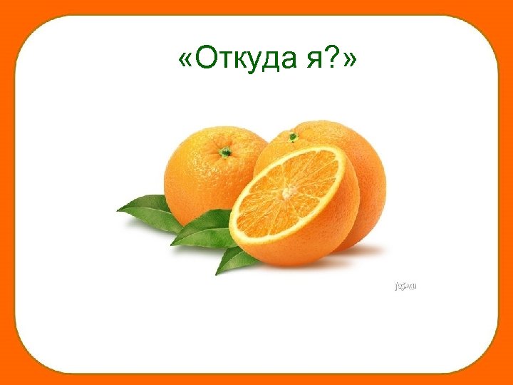  «Откуда я? » 