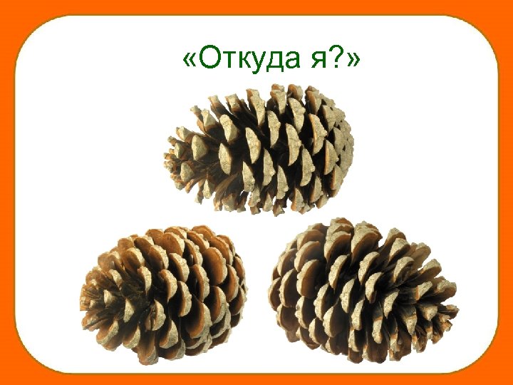  «Откуда я? » 