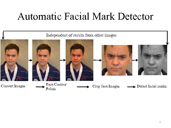 Automatic Facial Mark Detector Independent of results from other images Convert Images Face Contour
