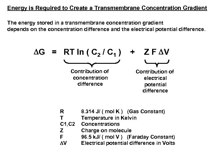 Energy is Required to Create a Transmembrane Concentration Gradient The energy stored in a