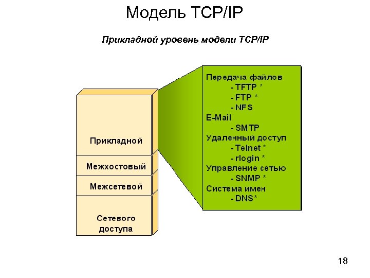 Модель TCP/IP Прикладной уровень модели TCP/IP 18 