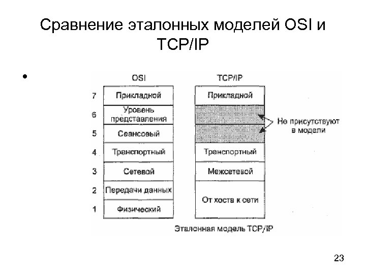 Сравнение эталонных моделей OSI и TCP/IP • 23 