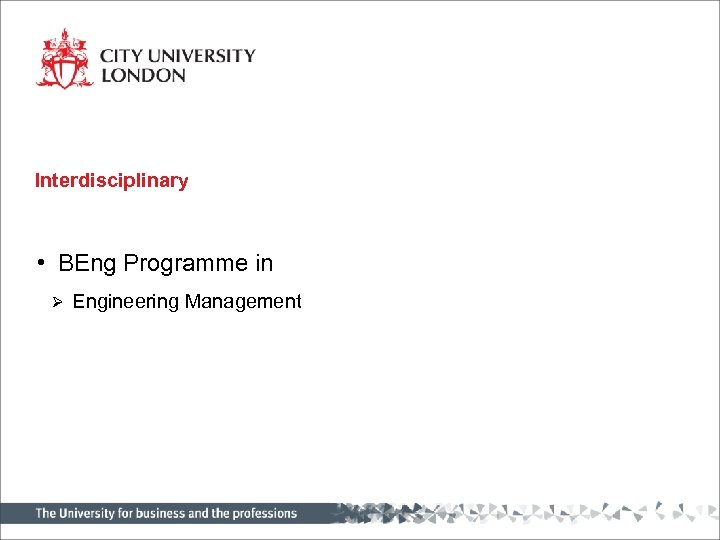 Interdisciplinary • BEng Programme in Ø Engineering Management 