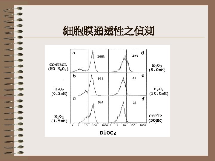 細胞膜通透性之偵測 