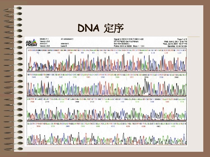 DNA 定序 