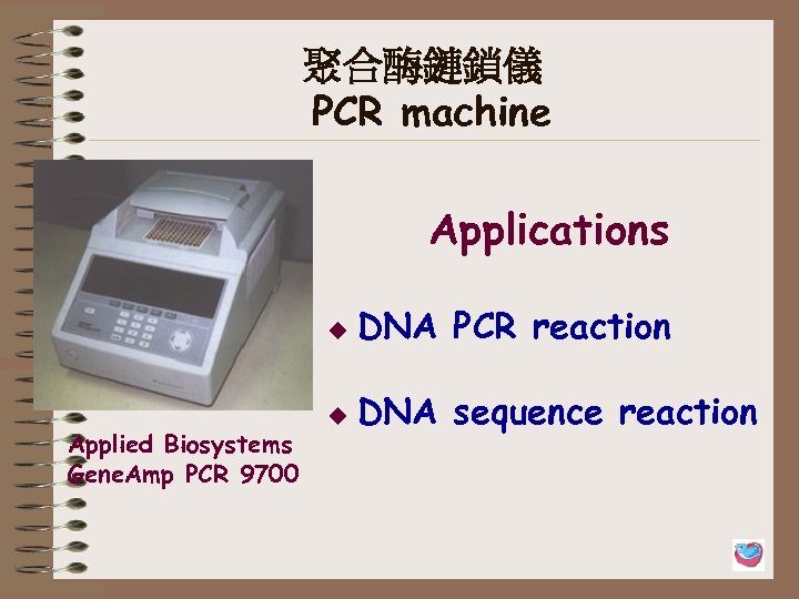 聚合酶鏈鎖儀 PCR machine Applications u Applied Biosystems Gene. Amp PCR 9700 DNA PCR reaction