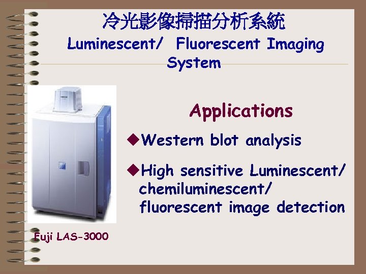 冷光影像掃描分析系統 Luminescent/ Fluorescent Imaging System Applications u. Western blot analysis u. High sensitive Luminescent/