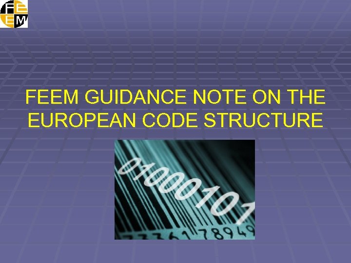 FEEM GUIDANCE NOTE ON THE EUROPEAN CODE STRUCTURE 