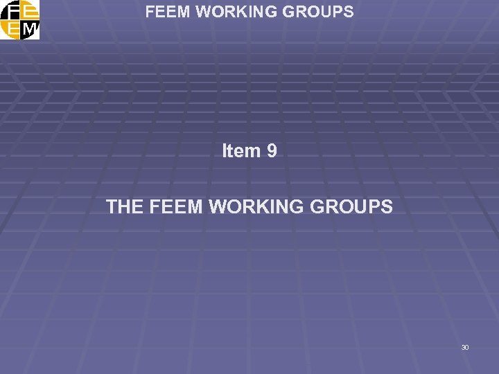 FEEM WORKING GROUPS Item 9 THE FEEM WORKING GROUPS 30 