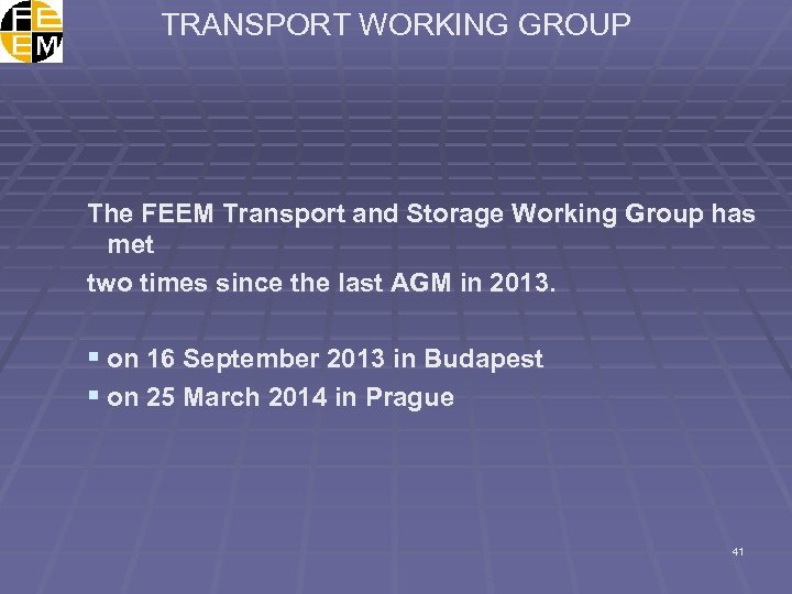 TRANSPORT WORKING GROUP The FEEM Transport and Storage Working Group has met two times
