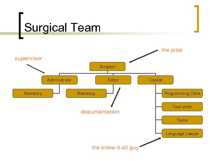 Surgical Team the pilot supervisor Surgeon Administrator Secretary Editor Secretary documentation Copilot Programming Clerk