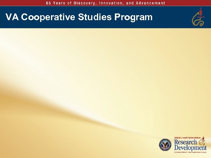 VA Cooperative Studies Program 