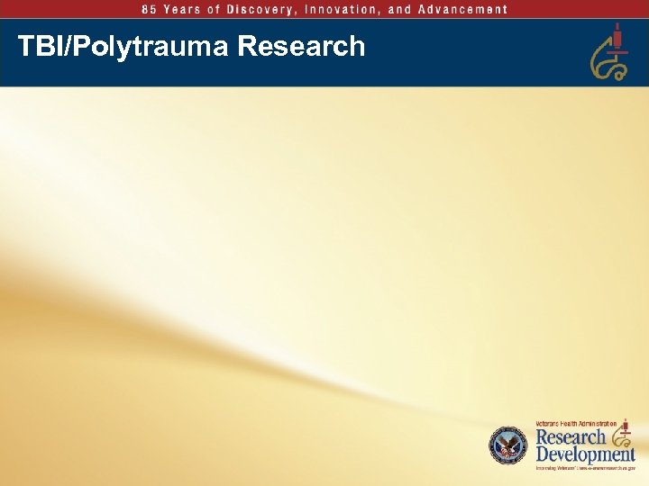 TBI/Polytrauma Research 