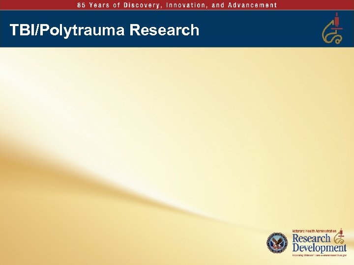 TBI/Polytrauma Research 