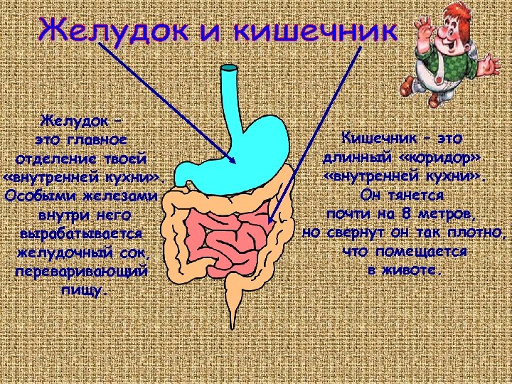 Внутреннее отделение