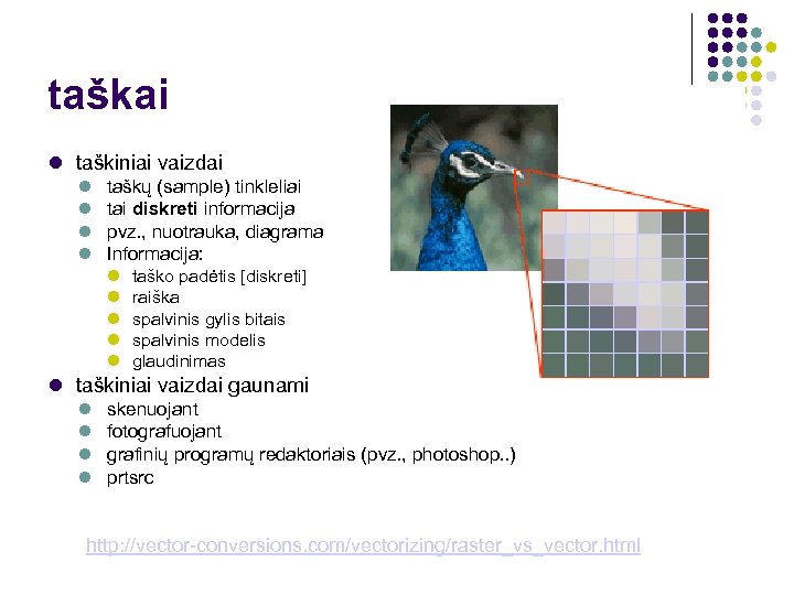 taškai taškiniai vaizdai taškų (sample) tinkleliai tai diskreti informacija pvz. , nuotrauka, diagrama Informacija: