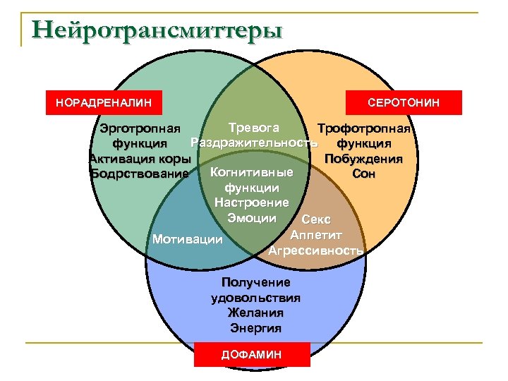 Влияние психотипа на процесс обучения презентация