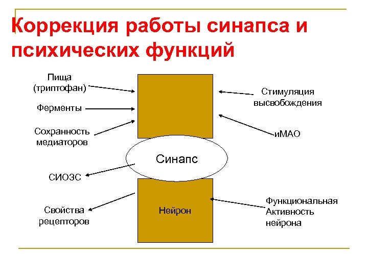 Коррекция работы синапса и психических функций Пища (триптофан) Стимуляция высвобождения Ферменты Сохранность медиаторов и.