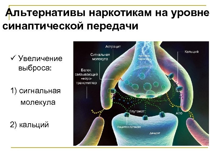  Альтернативы наркотикам на уровне синаптической передачи ü Увеличение выброса: 1) сигнальная молекула 2)