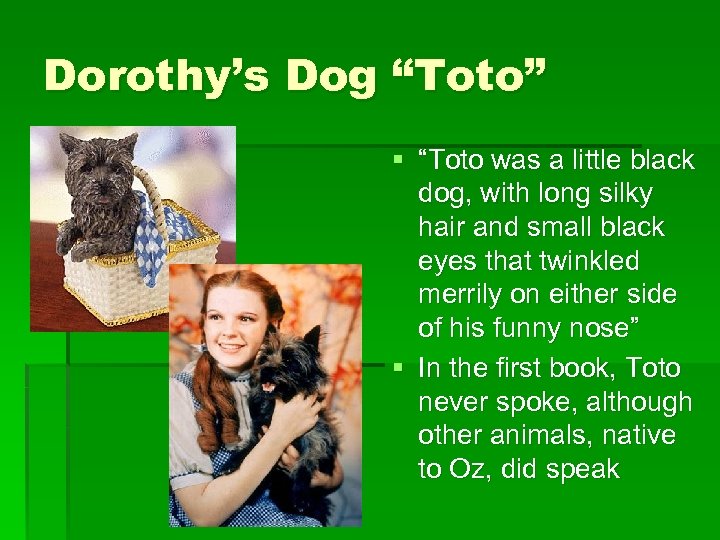 Dorothy’s Dog “Toto” § “Toto was a little black dog, with long silky hair